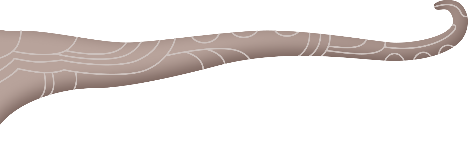 visionarium-ornament